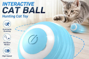 Smart Interactive Cat Ball – Rechargeable LED Toy with 2 Play Modes